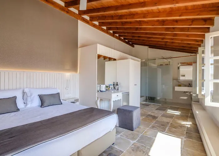 Old Town Mansion Penzion Lemesos